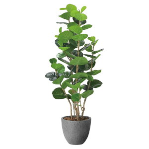 @ll A[gNGCV ItBXƋ tFCNO[ lHϗtA i`V[O[v1.6 2402A480