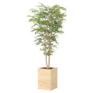 @ll A[gNGCV ItBXƋ tFCNO[ lHϗtA Ebh{bNXglR~bNX1.8 2457A620