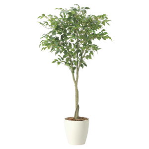 @ll A[gNGCV ItBXƋ tFCNO[ lHϗtA tBJXc[1.65 2435A290