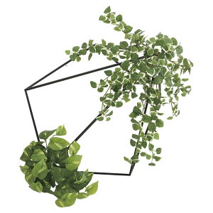 @ll A[gNGCV ItBXƋ tFCNO[ O[pl ǖʗΉv~|gX 2000A180