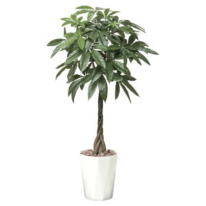 @ll A[gNGCV ItBXƋ tFCNO[ lHϗtA pL1.25 510K320