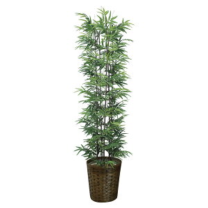 @ll A[gNGCV ItBXƋ tFCNO[ lHϗtA |1.8i:VR|j775A450