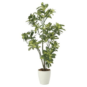 @ll A[gNGCV ItBXƋ tFCNO[ lHϗtA VFt1.15 2027A180