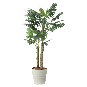 @ll A[gNGCV ItBXƋ tFCNO[ lHϗtA Z[W1.8 2441A360