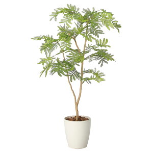 @ll A[gNGCV ItBXƋ tFCNO[ lHϗtA ˂ނ̖90i|j2428A150