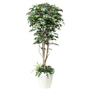 @ll A[gNGCV ItBXƋ tFCNO[ lHϗtA tBJXxW~1.8 A͕t 508F500