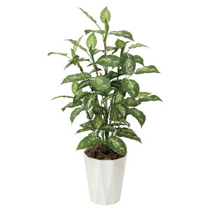 @ll A[gNGCV ItBXƋ tFCNO[ lHϗtA fBtFoLA1.1 426A175