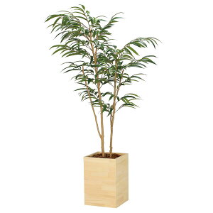 @ll A[gNGCV ItBXƋ tFCNO[ lHϗtA Ebh{bNXVEiS1.8 2300A580