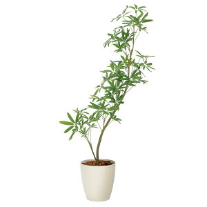 @ll A[gNGCV ItBXƋ tFCNO[ lHϗtA tbVCeAVFt1.45 2331A350