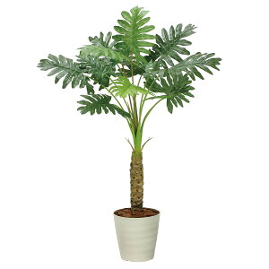 @ll A[gNGCV ItBXƋ tFCNO[ lHϗtA Z[1.25 2341A170