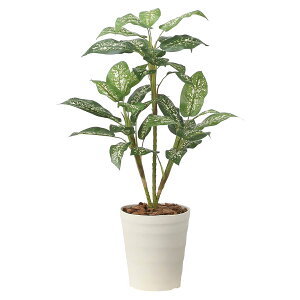 @ll A[gNGCV ItBXƋ tFCNO[ lHϗtA fBtFoLA90 2491A100