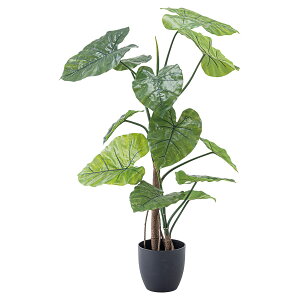 @ll J ItBXƋ tFCNO[ lHϗtA NYC GRN-16iooׁj