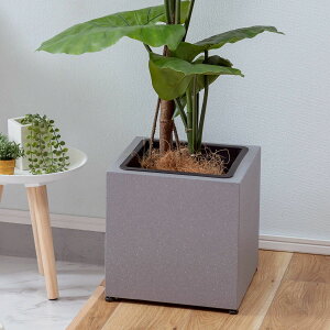 @ll J K[fƋ v^[ GRNB-54Siooׁj