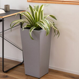 @ll J K[fƋ v^[ GRNB-55