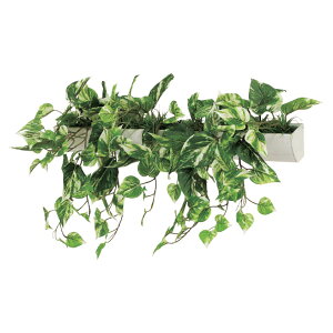 @ll xN ItBXƋ tFCNO[ O[|bh EH[|bg Ǖt^Cv GR4052