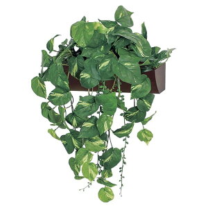 @ll xN ItBXƋ tFCNO[ O[|bh ~j|bg Ǖt^Cv GR4349