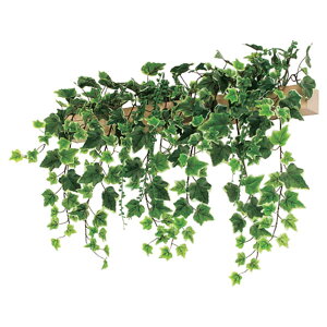 @ll xN ItBXƋ tFCNO[ O[|bh fUC|bg Ǖt^Cv GR4072