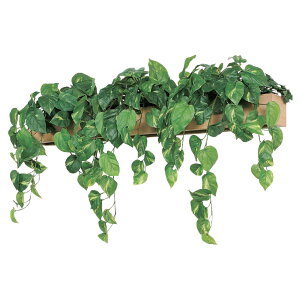 @ll xN ItBXƋ tFCNO[ O[|bh fUC|bg Ǖt^Cv GR4351