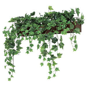 @ll xN ItBXƋ tFCNO[ O[|bh fUC|bg Ǖt^Cv GR4356