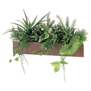 @ll xN ItBXƋ tFCNO[ O[|bh fUC|bg Ǖt^Cv GR4173