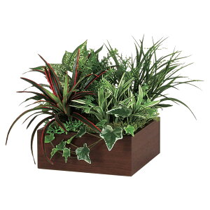 @ll xN ItBXƋ tFCNO[ O[|bh |bg GR4283