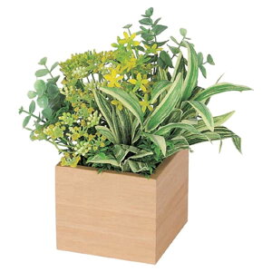 @ll xN ItBXƋ tFCNO[ O[|bh |bg GR4381