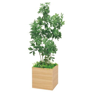 @ll xN ItBXƋ tFCNO[ lHϗtA {bNXv^[ VFt H1700 GR5009