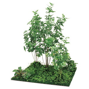 @ll xN ItBXƋ tFCNO[ tAO[ 9A VFt H1800 GM5717