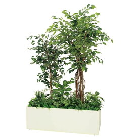 法人様限定 ベルク オフィス家具 フェイクグリーン 人工観葉植物 寄せ植えプランター フィカスベンジャミン H2100 GR5033