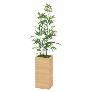 @ll xN ItBXƋ tFCNO[ lHϗtA Xp[e[V ou[ H1600 GR5021