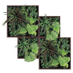 @ll xN ItBXƋ tFCNO[ O[pl AڃO[ 4A GM1565