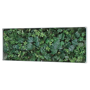 @ll xN ItBXƋ tFCNO[ O[pl EH[O[ GR3117