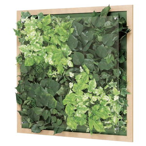 @ll xN ItBXƋ tFCNO[ O[pl EH[O[ GR3354