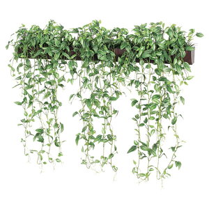 @ll xN ItBXƋ tFCNO[ O[|bh EH[|bg Ǖt^Cv GR4347