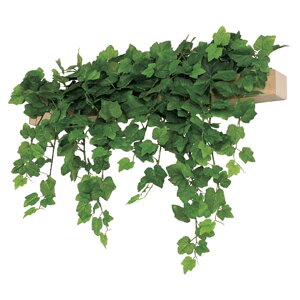 @ll xN ItBXƋ tFCNO[ O[|bh fUC|bg Ǖt^Cv GR4068