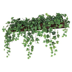 @ll xN ItBXƋ tFCNO[ O[|bh fUC|bg Ǖt^Cv GR4357