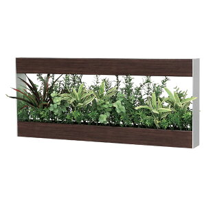 @ll xN ItBXƋ tFCNO[ O[|bh fUC|bg Ǖt^Cv GR4373