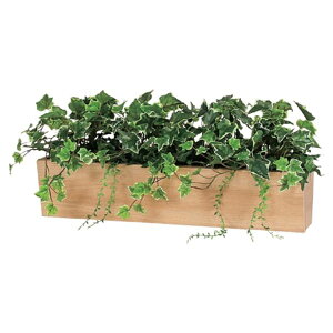 @ll xN ItBXƋ tFCNO[ O[|bh |bg GR4299