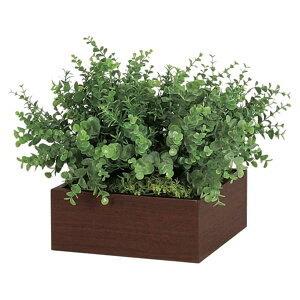 @ll xN ItBXƋ tFCNO[ O[|bh |bg GR4285