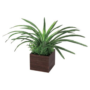 @ll xN ItBXƋ tFCNO[ O[|bh |bg GR4387