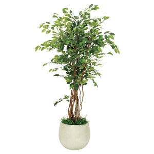 @ll xN ItBXƋ tFCNO[ lHϗtA {bNXv^[ tBJXxW~ H1900 GR5006