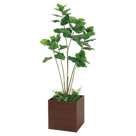 法人様限定 ベルク オフィス家具 フェイクグリーン 人工観葉植物 ボックスプランター ウンベラータ H1700 GR5010