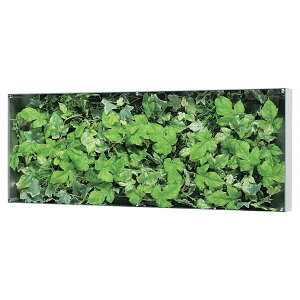 @ll xN ItBXƋ tFCNO[ O[pl EH[O[ GR3118