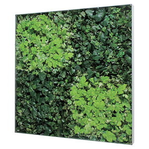 �@�l�l���� �x���N �I�t�B�X�Ƌ� �t�F�C�N�O���[�� �O���[���p�l�� �E�H�[���O���[�� GR3572