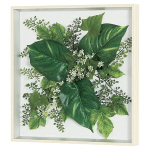 @ll xN ItBXƋ tFCNO[ O[pl EH[O[ GR3702