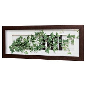 @ll xN ItBXƋ tFCNO[ O[pl A[gO[ GR3556