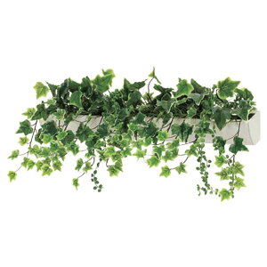 @ll xN ItBXƋ tFCNO[ O[|bh EH[|bg Ǖt^Cv GR4054