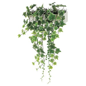 @ll xN ItBXƋ tFCNO[ O[|bh ~j|bg Ǖt^Cv GR4161