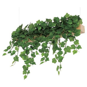 @ll xN ItBXƋ tFCNO[ O[|bh nMO|bg V݂^Cv GR4436