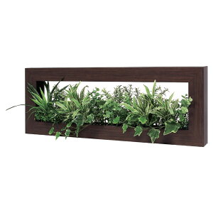 @ll xN ItBXƋ tFCNO[ O[|bh fUC|bg Ǖt^Cv GR4371